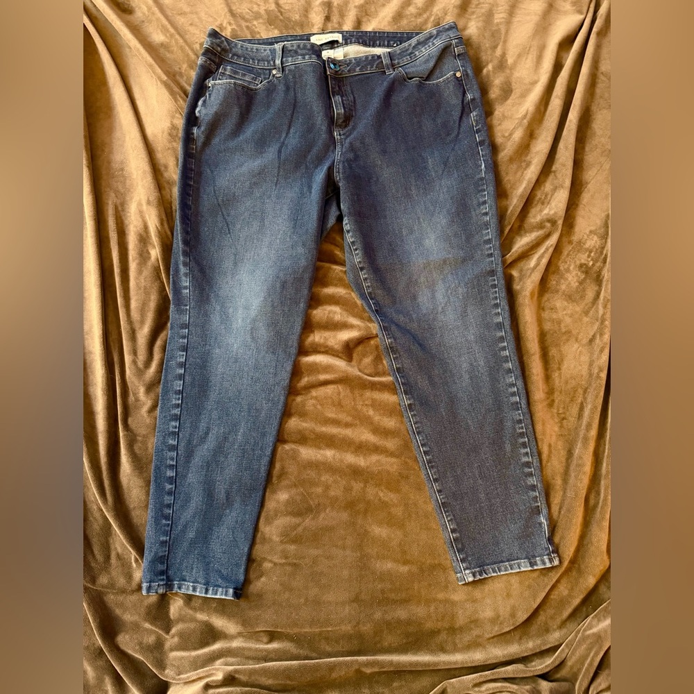 Lane Bryant Skinny Jeans in Dark Blue Denim